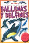 Ballenas y delfines