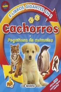 Cachorros