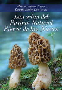 Las setas del Parque Natural Sierra de las Nieves