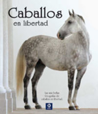 Caballos en libertad