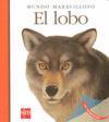 EL LOBO. MUNDO MARAVILLOSO