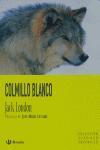 COLMILLO BLANCO