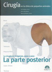 Ciruga en la clnica de pequeos animales : la parte posterior