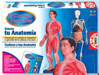 JUEGO CONOCE TU ANATOMIA
