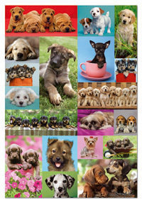 PUZZLE EDUCA 1000 PZAS COLLAGE PERRITOS