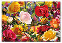 PUZZLE 500 PZAS TANGO DE ROSAS SILVESTRES