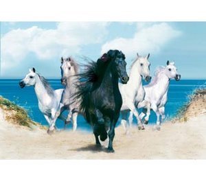 PUZZLE 2000 PZAS THE DREAM HORSES