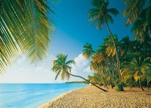 PUZZLE 1000 PZAS WEBCAM COLLECTION TROPICO