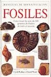 Fsiles