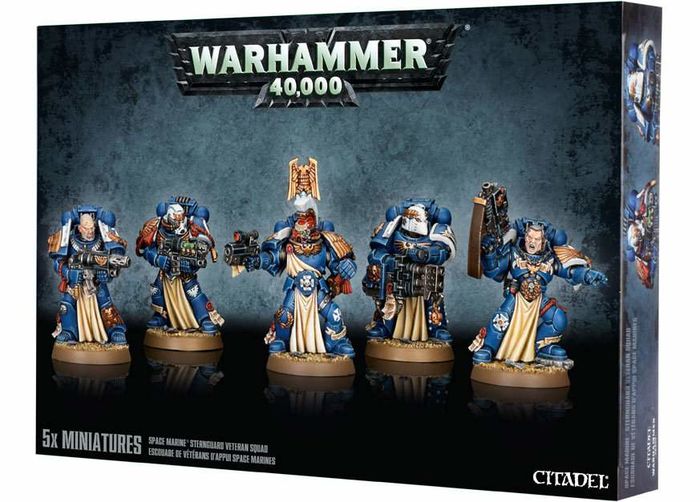 ESCUADRA DE VETERANOS DE LA GUARDIA DE LOS MARINES ESPACIALES