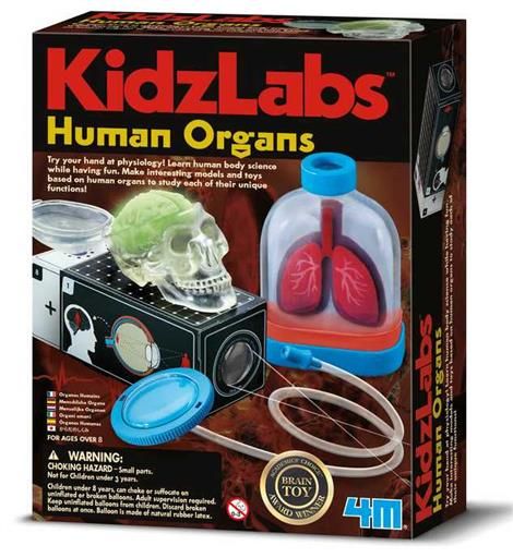 KIDZ LABS HUMAN ORGANS