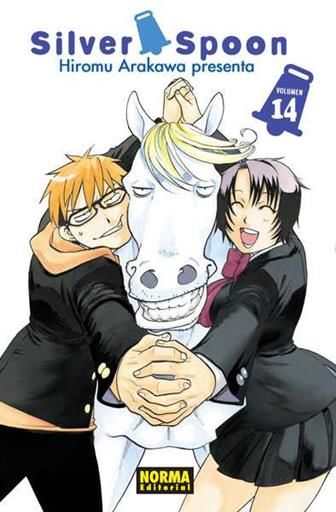 SILVER SPOON #14