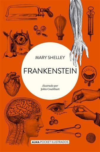 FRANKENSTEIN (BOLSILLO)