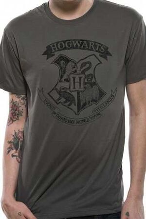 HARRY POTTER CAMISETA CHICO DISTRESSED HOGWARTS T-XXL                      