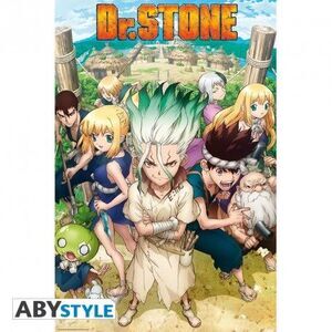 POSTER DR STONE GRUPO 91;5 X 61 CM