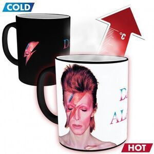 DAVID BOWIE TAZA SENSITIVA AL CALOR ALADDIN SANE