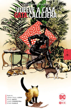 FOCUS - FERNANDO BLANCO: VUELVE A CASA; GATA CALLEJERA