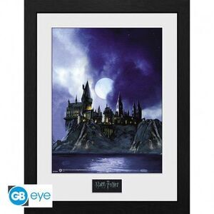 POSTER ENMACARCADO HARRY POTTER HOGWARTS PINTADO