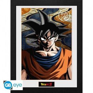 DRAGON BALL LMINA ENMARCADA GOKU