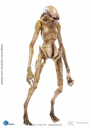 ALIEN RESURECTION FIG PVC 1/18 ESCALA THE NEWBORN