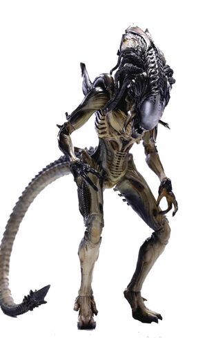 PREDALIEN FIGURA AVPR 1/18