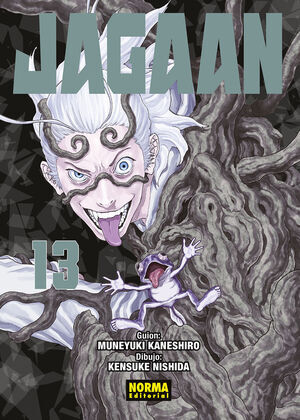 JAGAAN #13