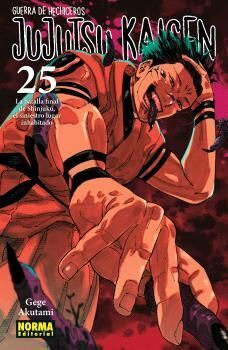 JUJUTSU KAISEN #25