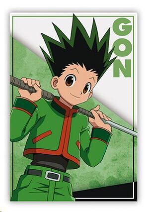 HUNTER X HUNTER IM�N GON