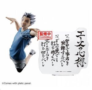 HAIKYU!! FIGURA KOTARO BOKUTO 20CM