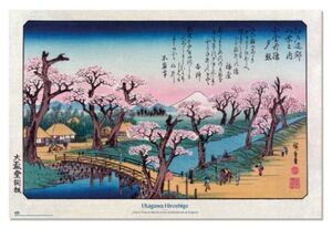 POSTER CHERRY TREES IN BLOOM ON THE EMBANKMENT AT KOGANEI UTAGAWA HIROSHIGE 61X91;5 CM