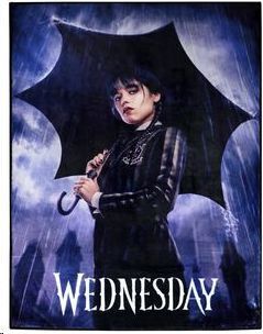 WEDNESDAY (MIERCOLES) ALFOMBRA INTERIOR ALFOMBRA INTERIOR 80X60 CM