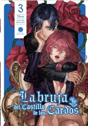 LA BRUJA DEL CASTILLO DE LOS CARDOS #03