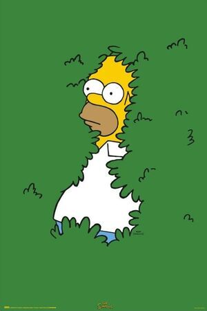 POSTER THE SIMPSONS HOMER ARBUSTO 61 X 91;5 CM