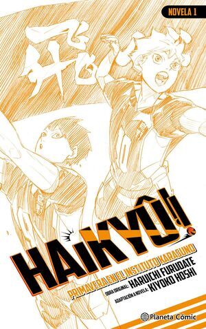 HAIKY�!! (NOVELA) #01