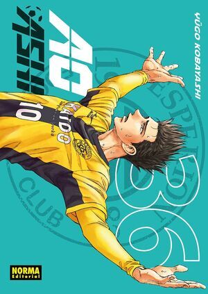 AO ASHI #36