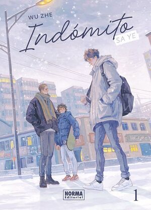 INDOMITO: SA YE #01 ED. ESPECIAL